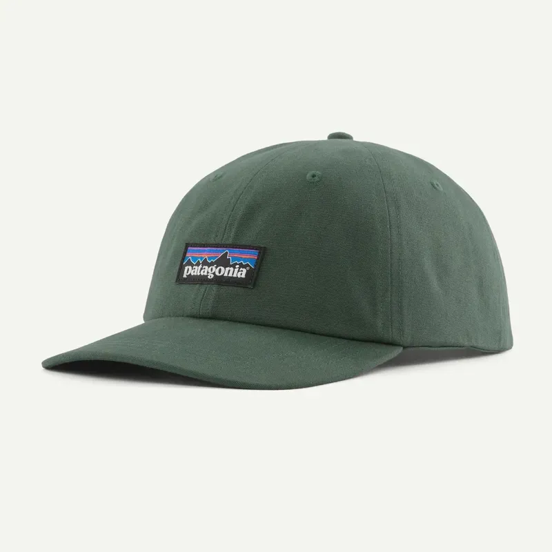 Patagonia P-6 Label Trad Cap in Canopy Green