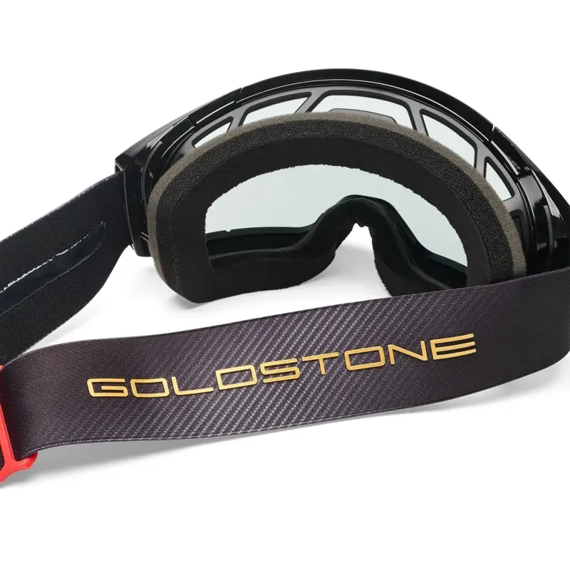 Fox Vue Max Goggles Goldstone-4