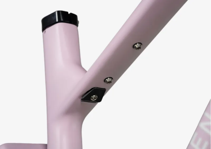 Forbidden Druid V2 GX RS+ - 29 inch 2024 in Lilac Summer Daze-3