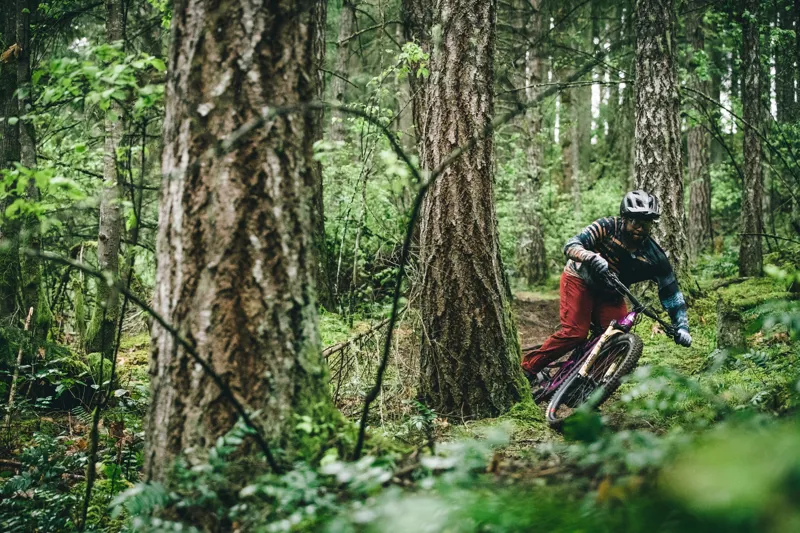 Santa Cruz Heckler SL S Model - Electric Bike - 2025 in Matte Blue-5