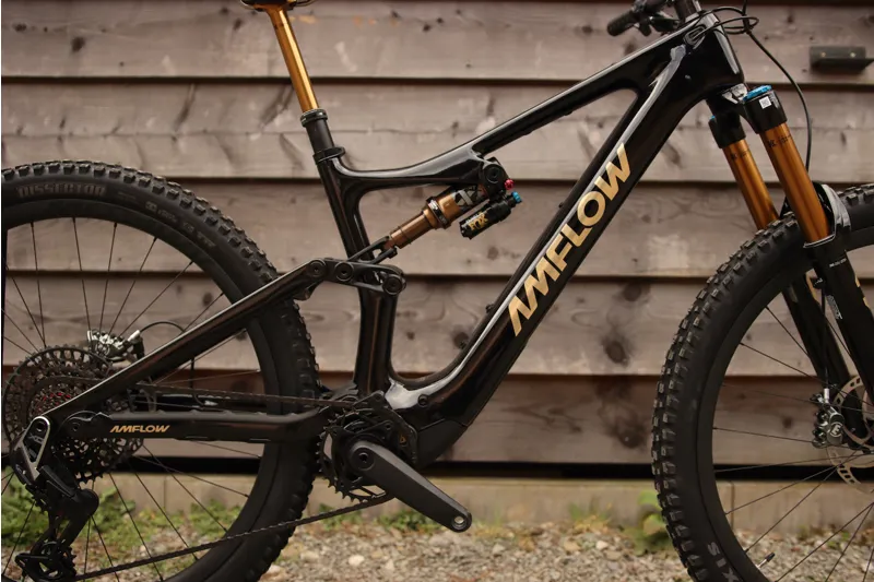 Premium Demo Bike Amflow PL Carbon Pro Model - DJI - Medium Black-4
