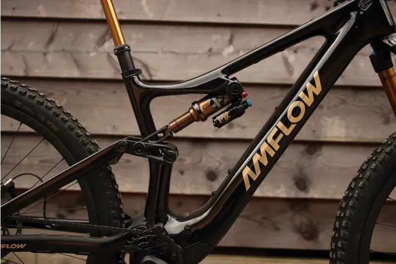 Premium Demo Bike Amflow PL Carbon Pro Model - DJI - Medium Black-5