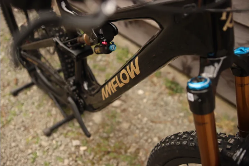 Premium Demo Bike Amflow PL Carbon Pro Model - DJI - Medium Black-9