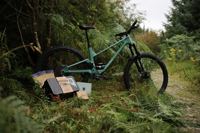 Forbidden Druid V2 - XO AXS - BUNDLE DEAL - LARGE / S3 ONLY - Green