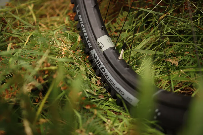 Forbidden Druid V2 - XO AXS - BUNDLE DEAL - LARGE / S3 ONLY - Green-11