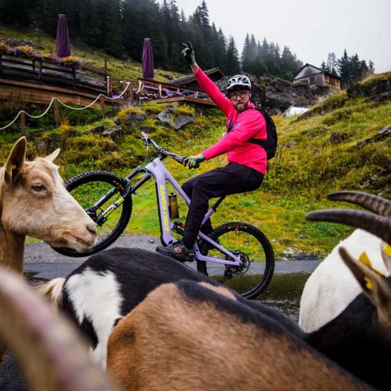 Santa Cruz Bullit S Model - EP8 Motor - Gloss Lavender and Yellow - 2023 Build-6