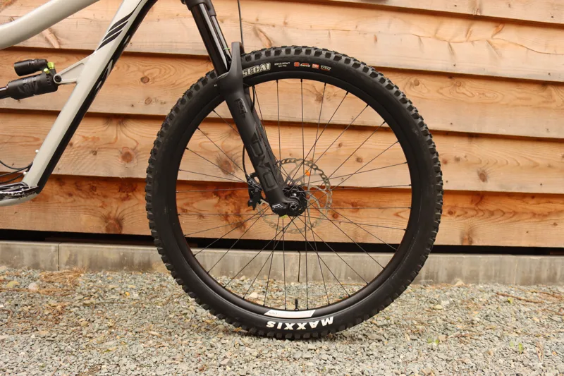 Current Demo Bike - Ibis Ripmo AF - SLX Build - Large 2 - Silver-3