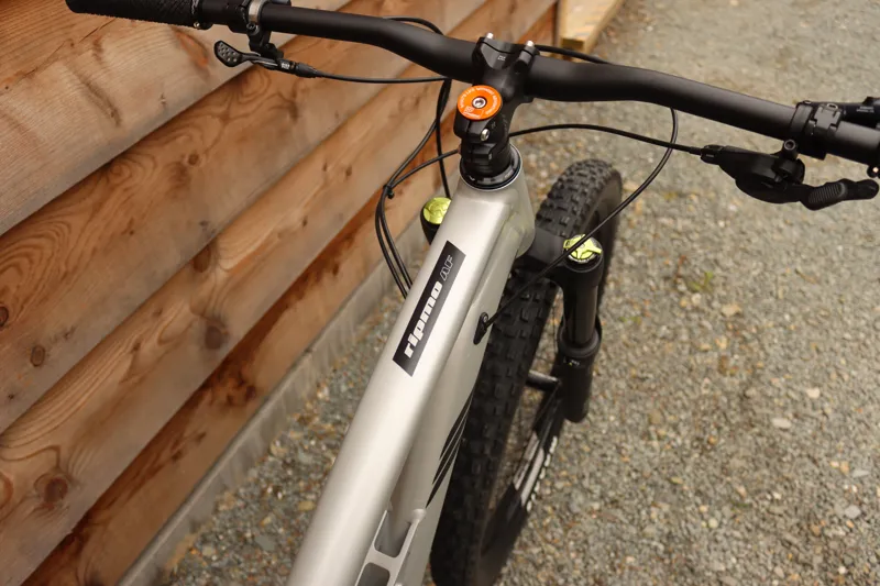 Current Demo Bike - Ibis Ripmo AF - SLX Build - Large 2 - Silver-4