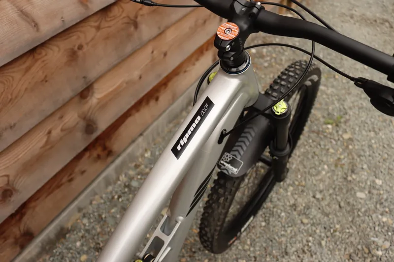 Current Demo Bike - Ibis Ripmo AF - SLX Build - Large 1 - Silver-8