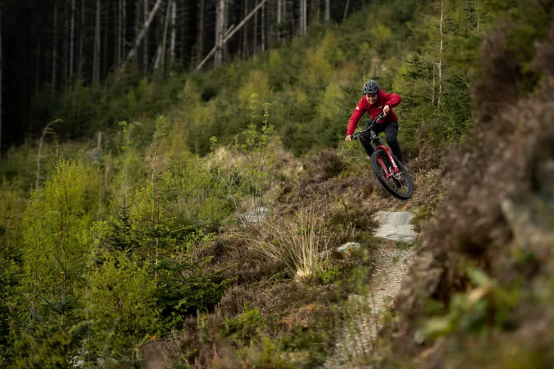 Santa Cruz Bronson C MX - S Model 2022 - Paydirt Gold-5