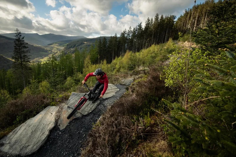 Santa Cruz Bronson C MX - S Model 2022 - Paydirt Gold-4