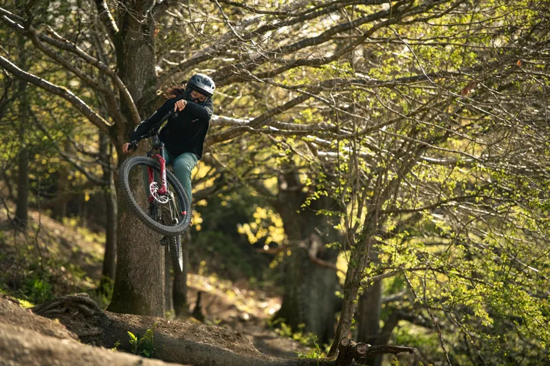 Santa Cruz Bronson C MX - S Model 2022 - Paydirt Gold-3