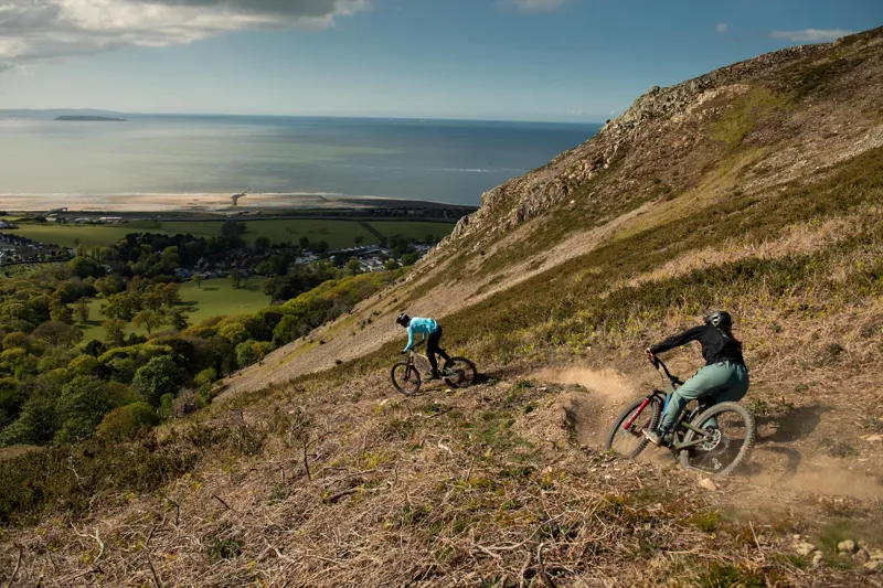 Santa Cruz Bronson C MX - S Model 2022 - Paydirt Gold-1