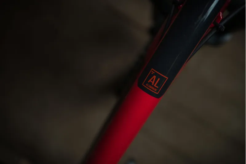 Nukeproof Cub Scout - 24 Inch Race - Ron Burgundy-6