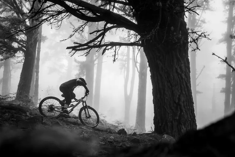 Nukeproof Mega 290 - Worx - Brushed Ali / Red - Only 50 In The World-10