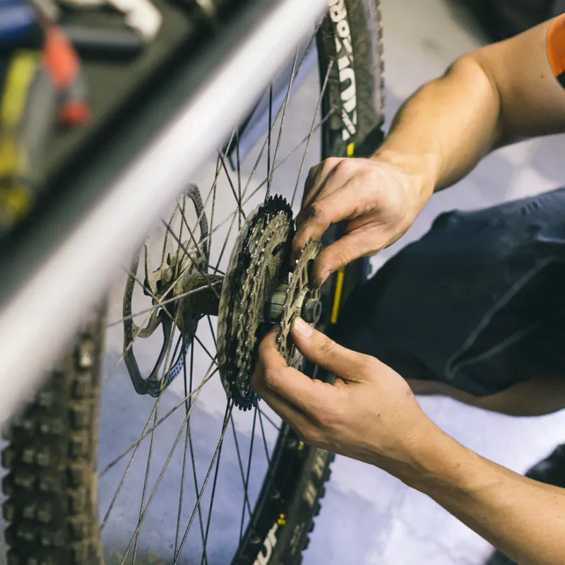 Oneplanet Adventure - 1 Day MTB Maintenance