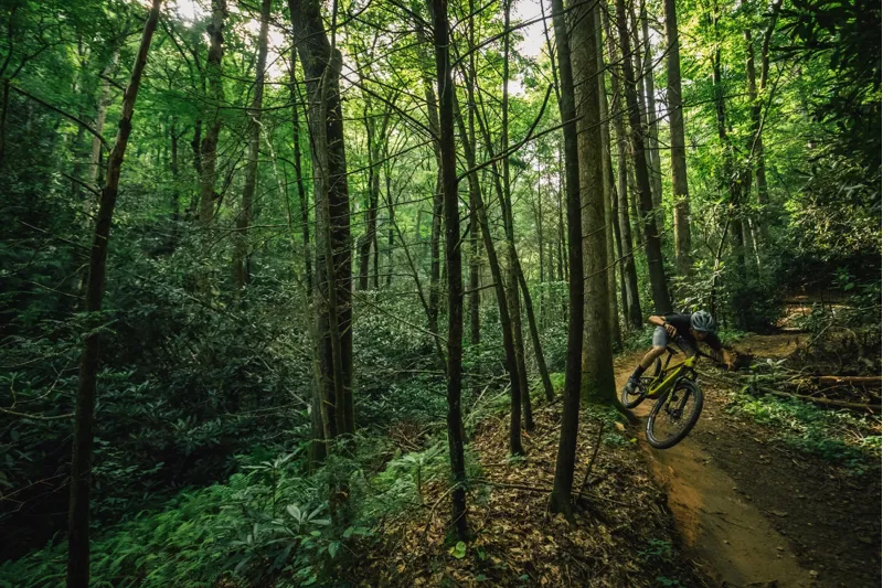 Santa Cruz Tallboy 4 C - R Model - 2020 - Black / Purple-9