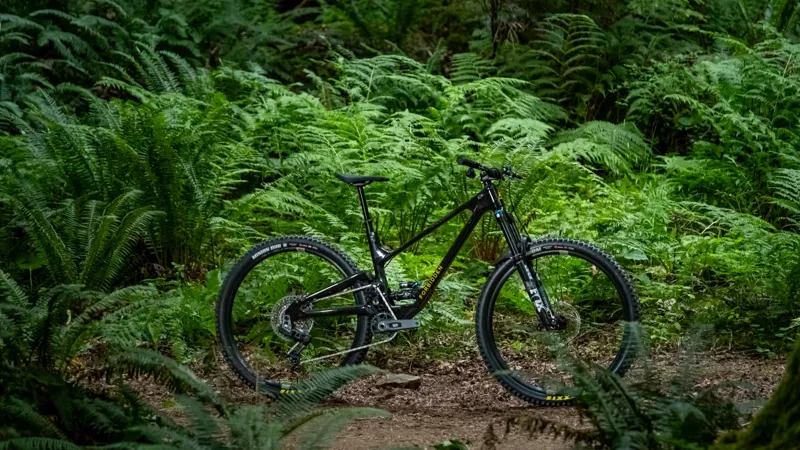 Forbidden Druid V2 - FX Build -29 Inch - Sram T-Type - Stardust-1